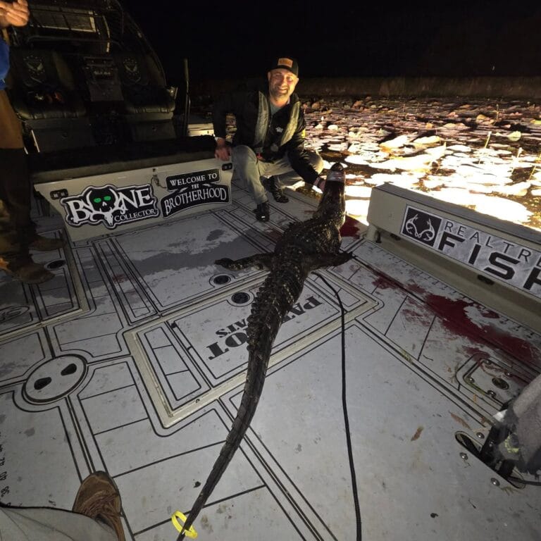 Gator season: a night catch on the deck