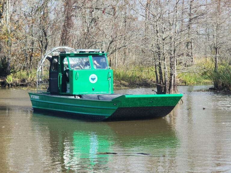 A green cabin airboat in a cypress swamp