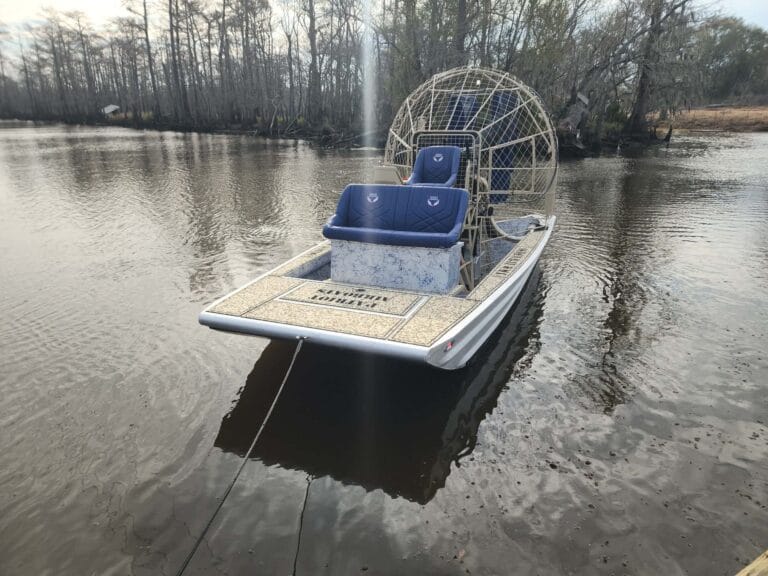 A white Patriot on glassy swamp water