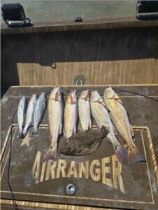 Redfish, trout and a flounder laid out on the deck hatch of a 2018 AirRanger