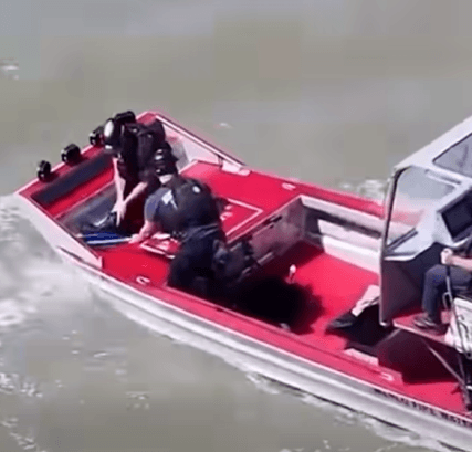 Rescued dog aboard an airboat after being recovered from a California bay