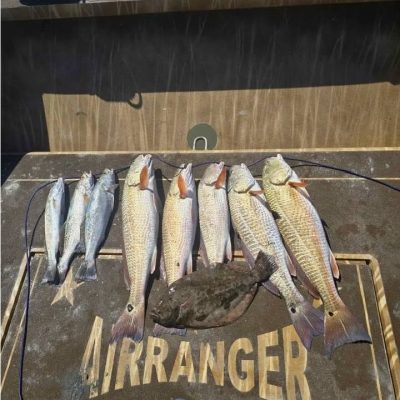 2018 AirRanger for sale by Patriot (boat 2) (2)