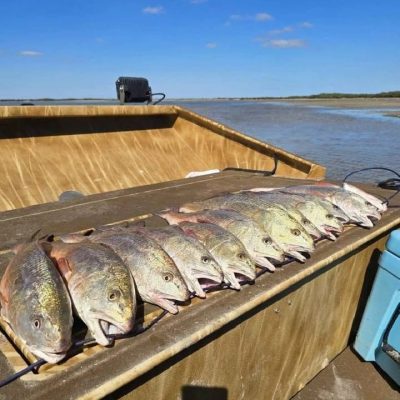 2018 AirRanger for sale by Patriot (boat 2) (4)